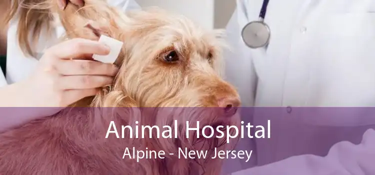 Animal Hospital Alpine - New Jersey