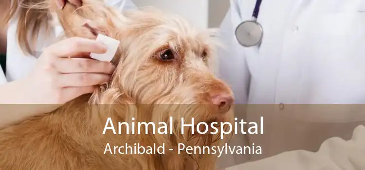 Animal Hospital Archibald - Pennsylvania