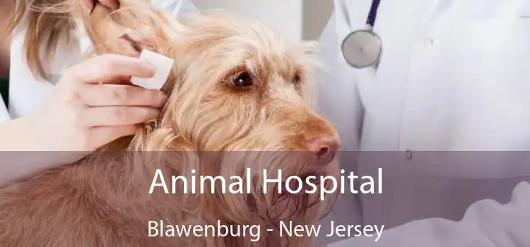 Animal Hospital Blawenburg - New Jersey