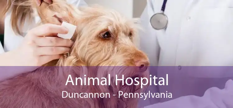 Animal Hospital Duncannon - Pennsylvania
