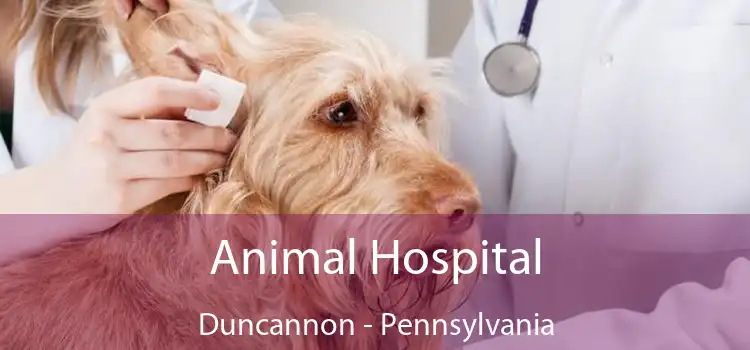 Animal Hospital Duncannon - Pennsylvania