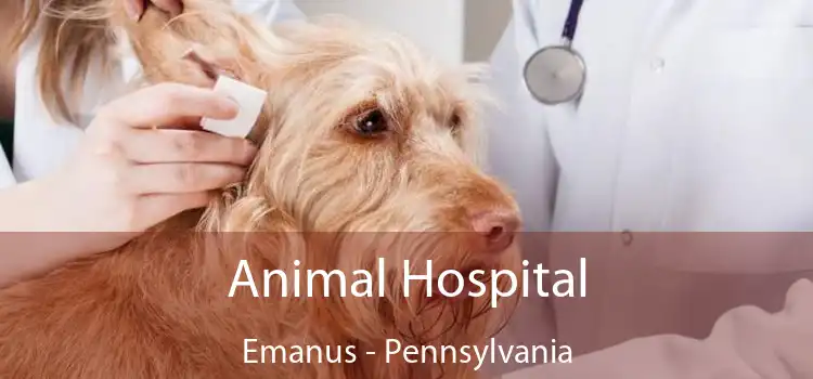 Animal Hospital Emanus - Pennsylvania
