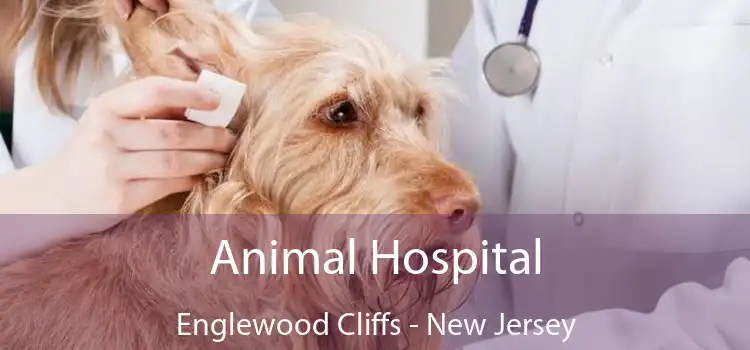 Animal Hospital Englewood Cliffs - New Jersey