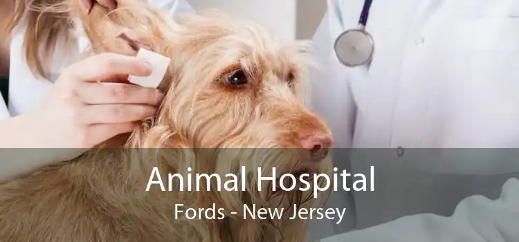 Animal Hospital Fords - New Jersey