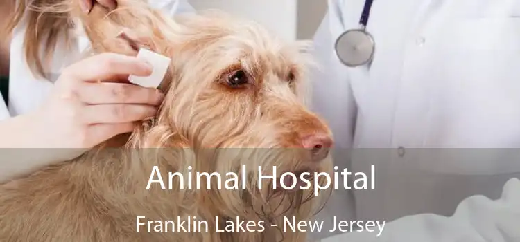 Animal Hospital Franklin Lakes - New Jersey