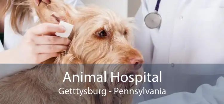 Animal Hospital Getttysburg - Pennsylvania