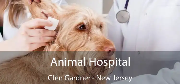 Animal Hospital Glen Gardner - New Jersey
