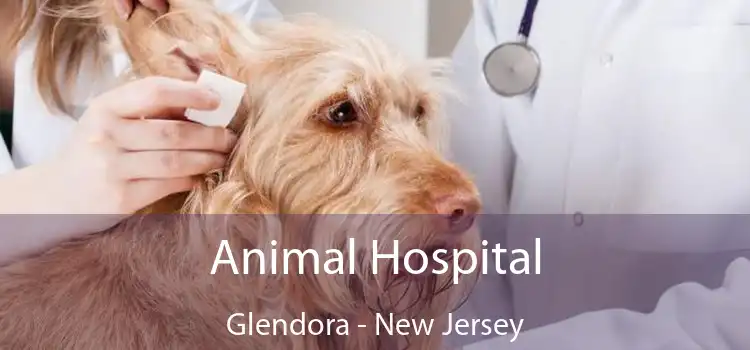 Animal Hospital Glendora - New Jersey