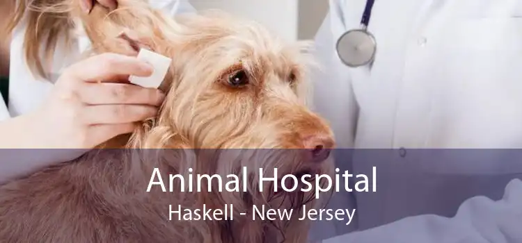 Animal Hospital Haskell - New Jersey