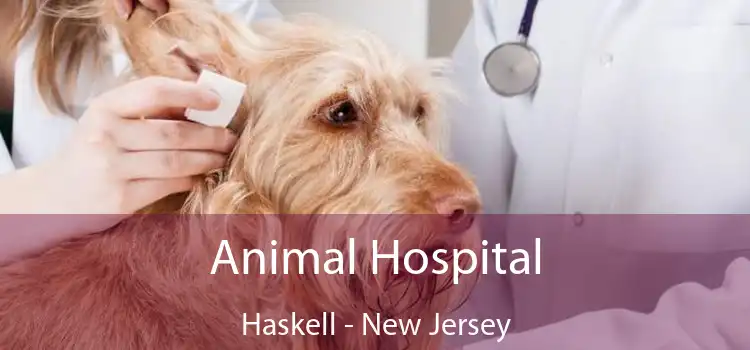 Animal Hospital Haskell - New Jersey