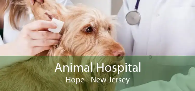 Animal Hospital Hope - New Jersey
