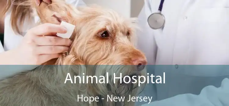 Animal Hospital Hope - New Jersey