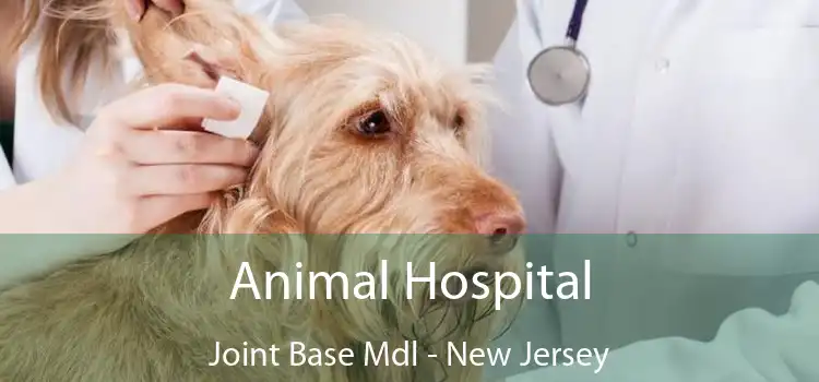 Animal Hospital Joint Base Mdl - New Jersey