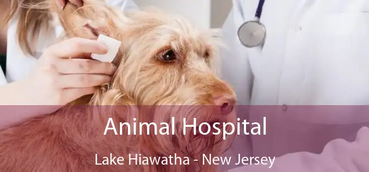 Animal Hospital Lake Hiawatha - New Jersey