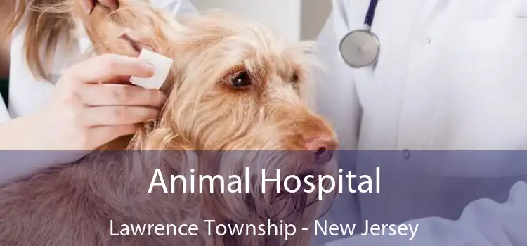 Animal Hospital Lawrence Township - New Jersey