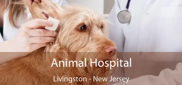 Animal Hospital Livingston - New Jersey