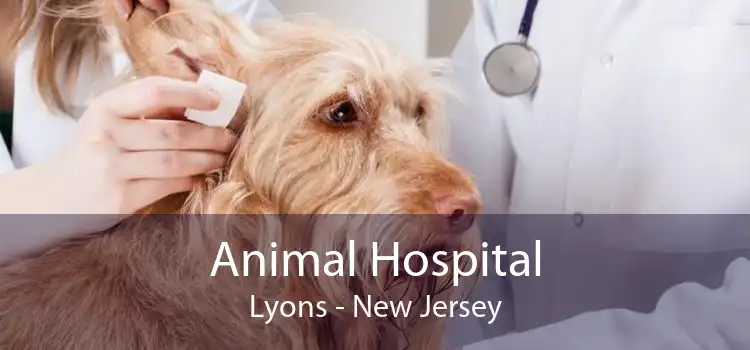 Animal Hospital Lyons - New Jersey