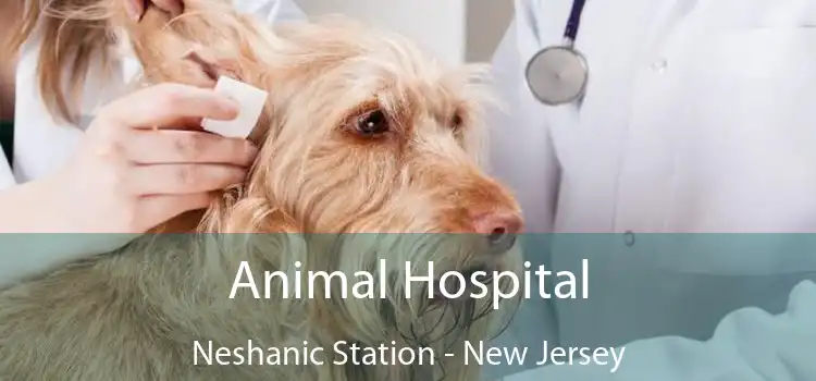 Animal Hospital Neshanic Station - New Jersey