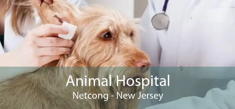 Animal Hospital Netcong - New Jersey
