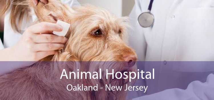Animal Hospital Oakland - New Jersey
