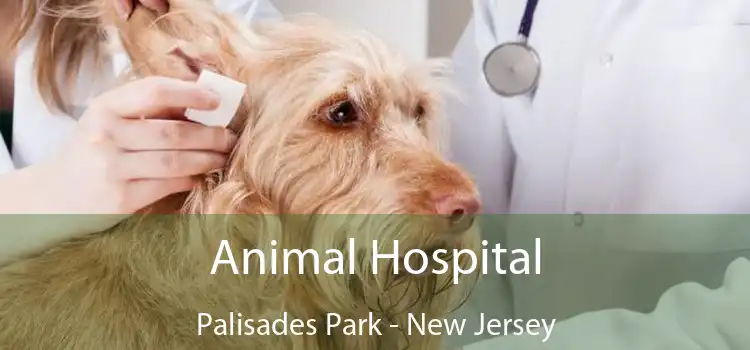 Animal Hospital Palisades Park - New Jersey