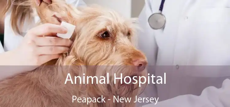 Animal Hospital Peapack - New Jersey