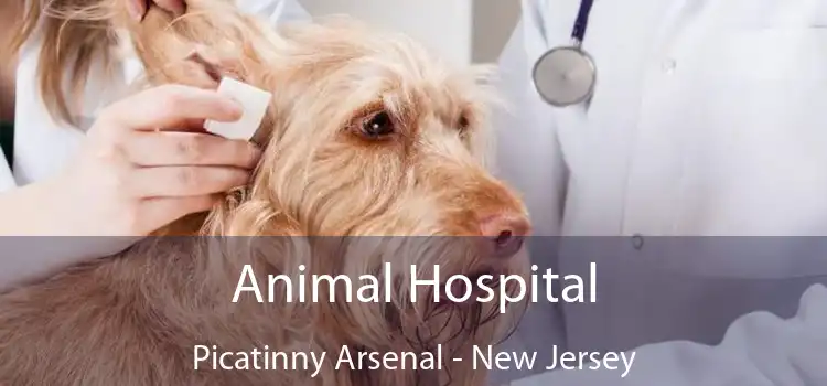 Animal Hospital Picatinny Arsenal - New Jersey