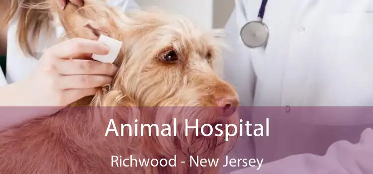 Animal Hospital Richwood - New Jersey