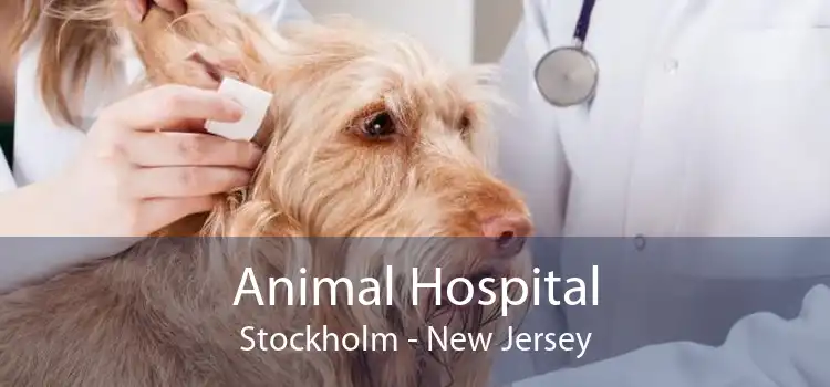 Animal Hospital Stockholm - New Jersey