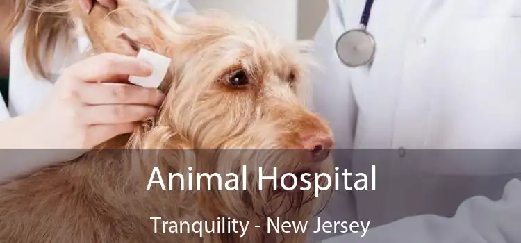 Animal Hospital Tranquility - New Jersey