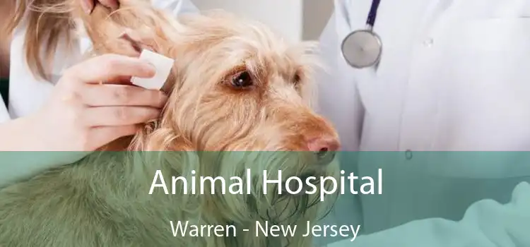 Animal Hospital Warren - New Jersey