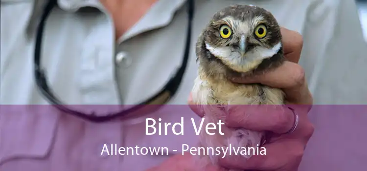 Bird Vet Allentown - Pennsylvania