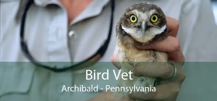 Bird Vet Archibald - Pennsylvania