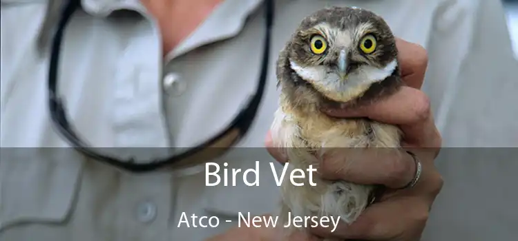 Bird Vet Atco - New Jersey