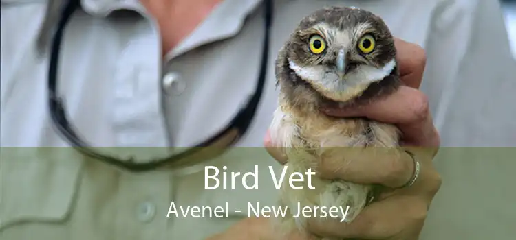 Bird Vet Avenel - New Jersey
