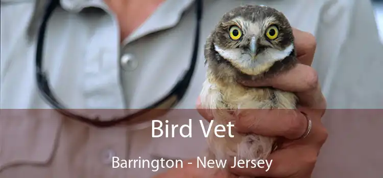 Bird Vet Barrington - New Jersey