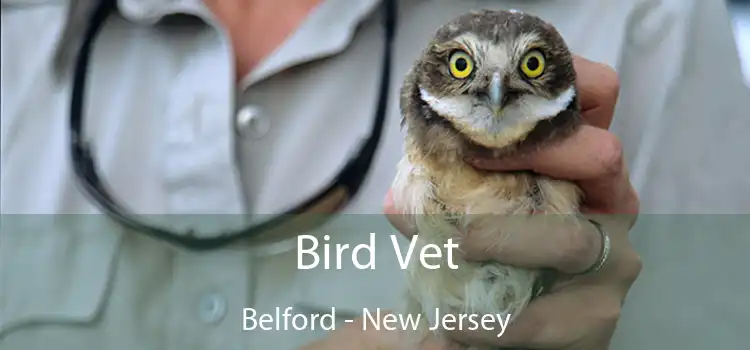 Bird Vet Belford - New Jersey