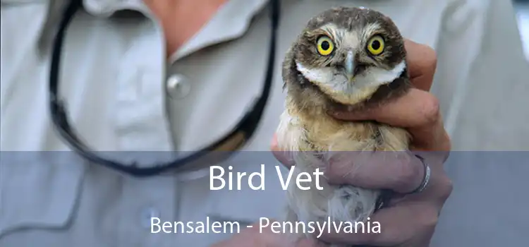 Bird Vet Bensalem - Pennsylvania