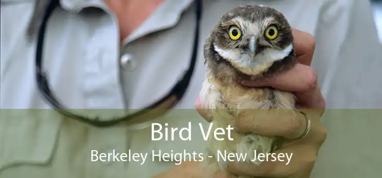 Bird Vet Berkeley Heights - New Jersey