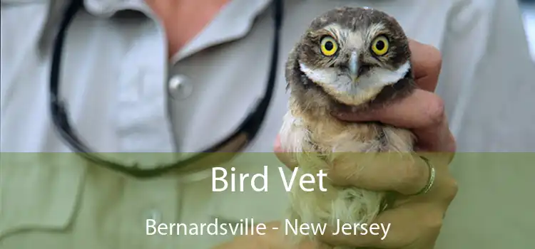 Bird Vet Bernardsville - New Jersey