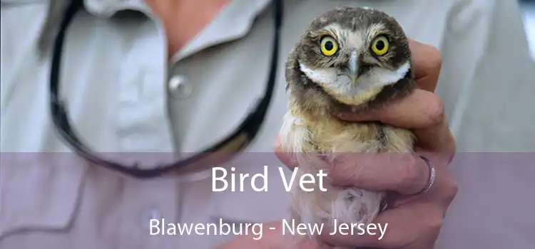 Bird Vet Blawenburg - New Jersey