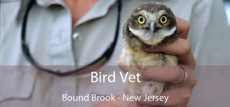 Bird Vet Bound Brook - New Jersey