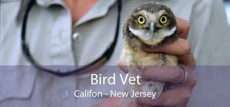 Bird Vet Califon - New Jersey