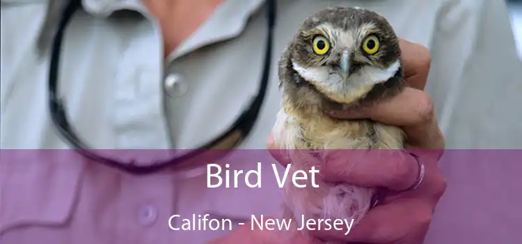 Bird Vet Califon - New Jersey