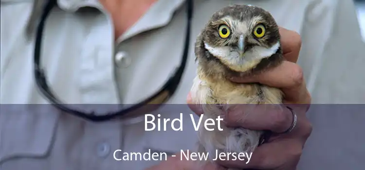Bird Vet Camden - New Jersey