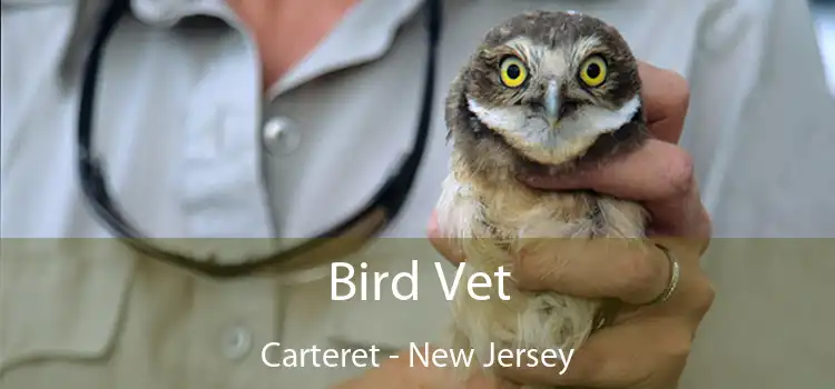 Bird Vet Carteret - New Jersey