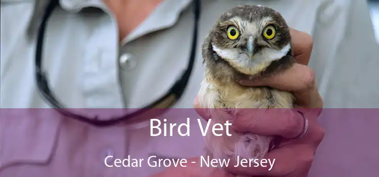 Bird Vet Cedar Grove - New Jersey