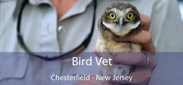 Bird Vet Chesterfield - New Jersey