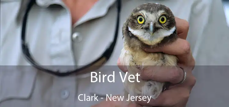 Bird Vet Clark - New Jersey