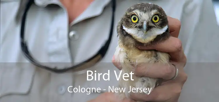 Bird Vet Cologne - New Jersey